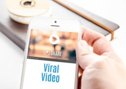 video marketing services
