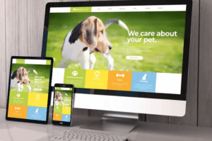 internet marketing services in Langley